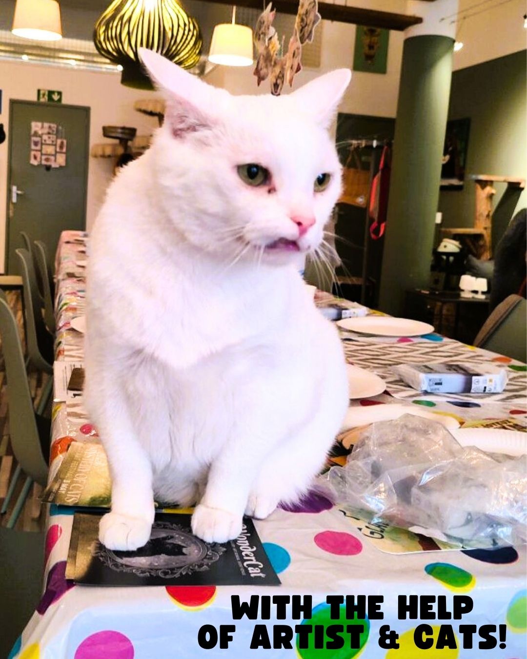 CATS & CLAY: Halloween Edition - 21 October - 19:00-21:00