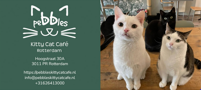 Cadeaubon - Te gebruiken in het café