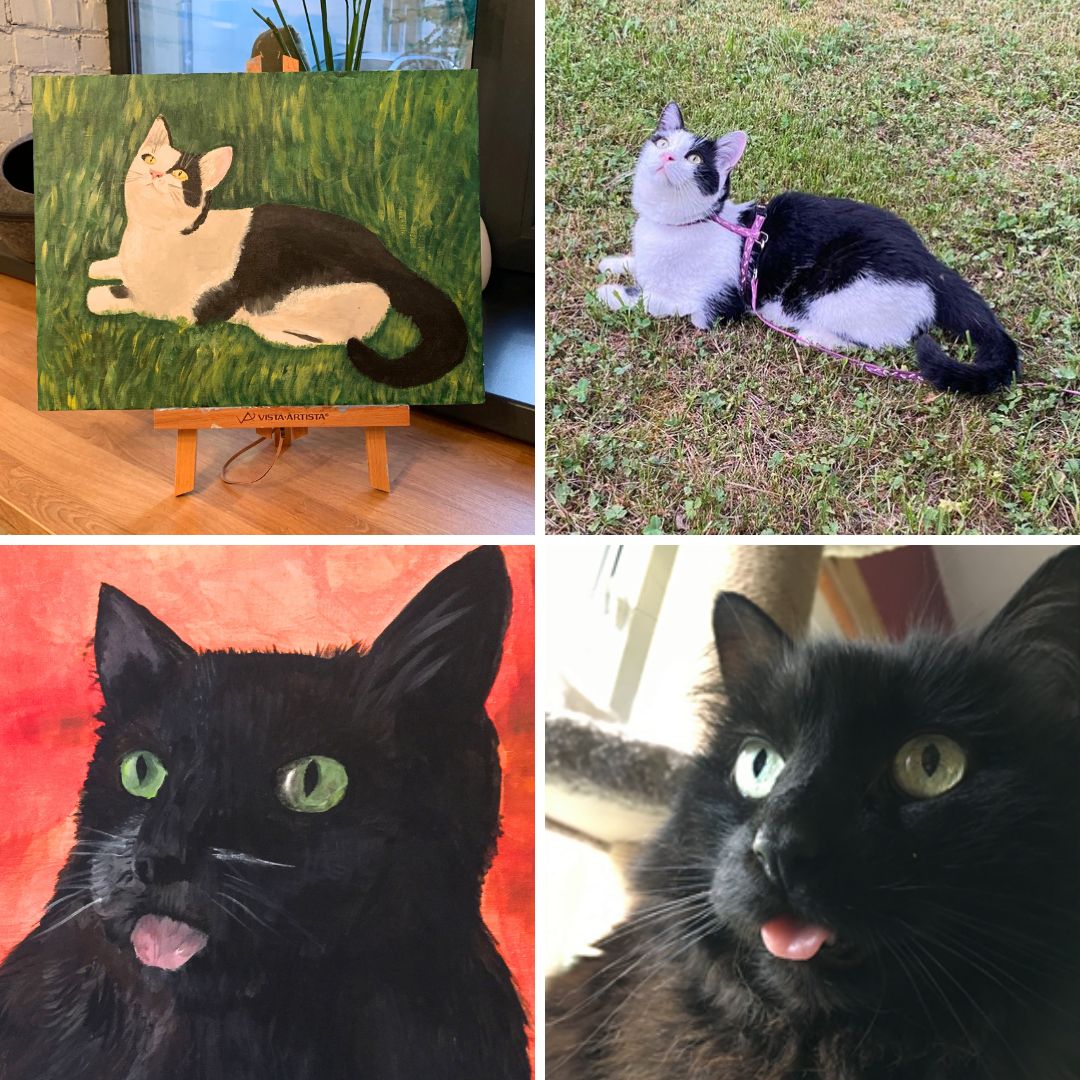 Paint&Purrr 1st Anniversary - 20 December - 19:00-21:00