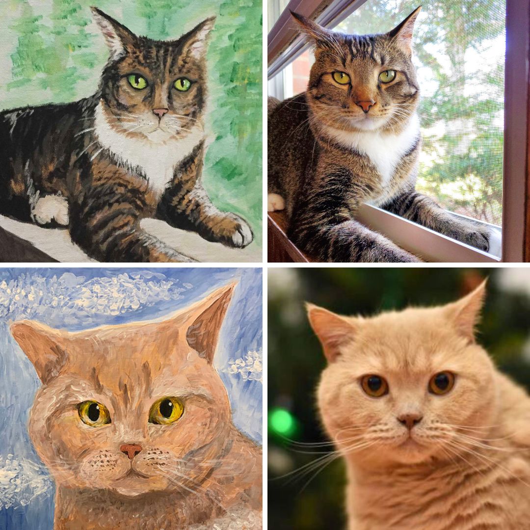 Paint&Purrr 1st Anniversary - 20 December - 19:00-21:00