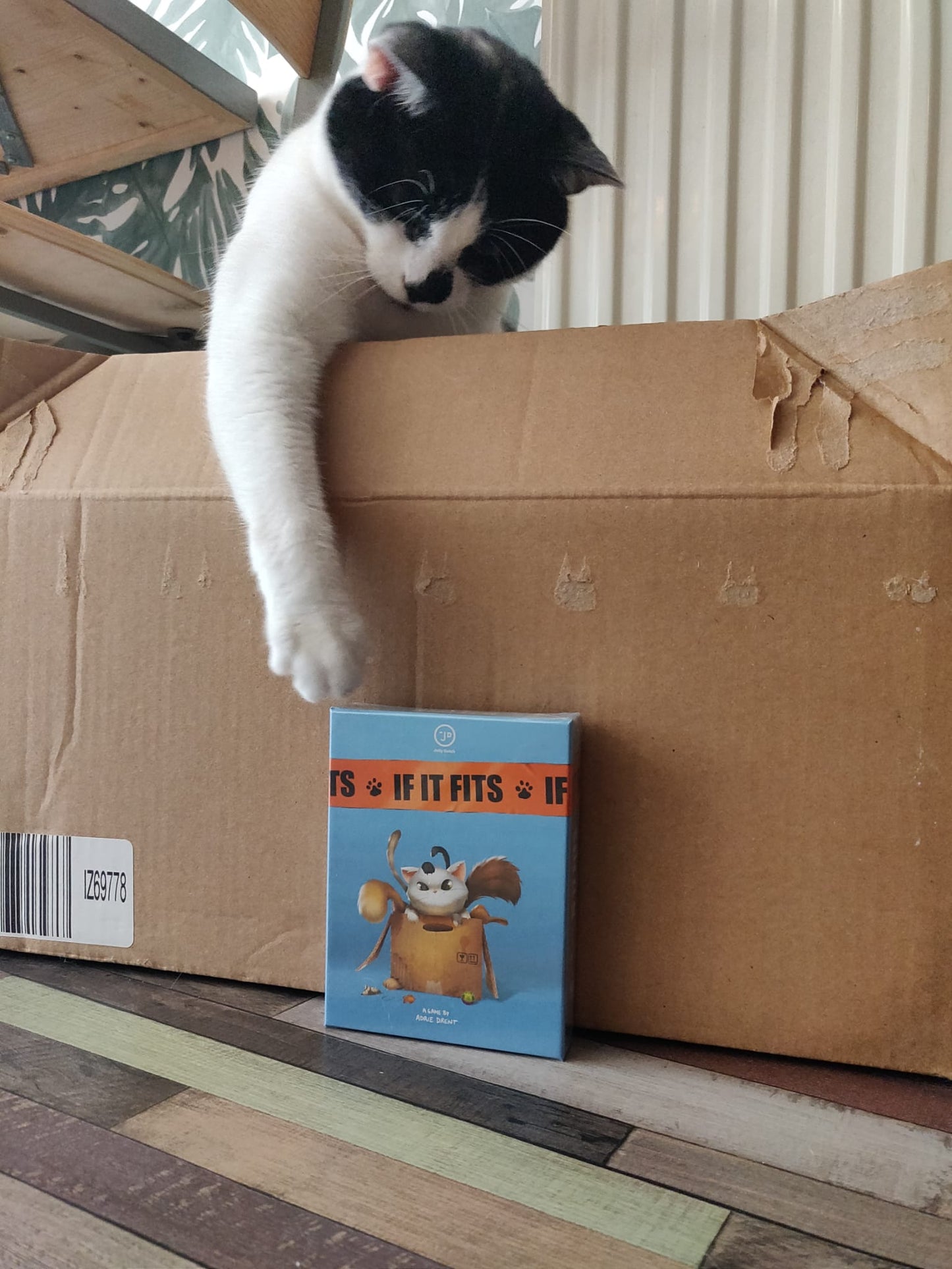 If It Fits - Kaartspel