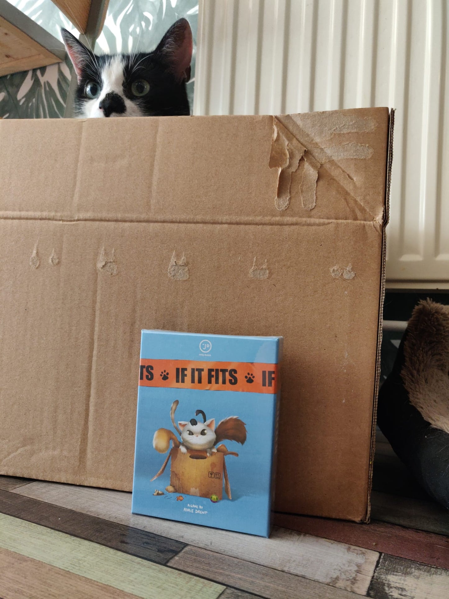 If It Fits - Kaartspel