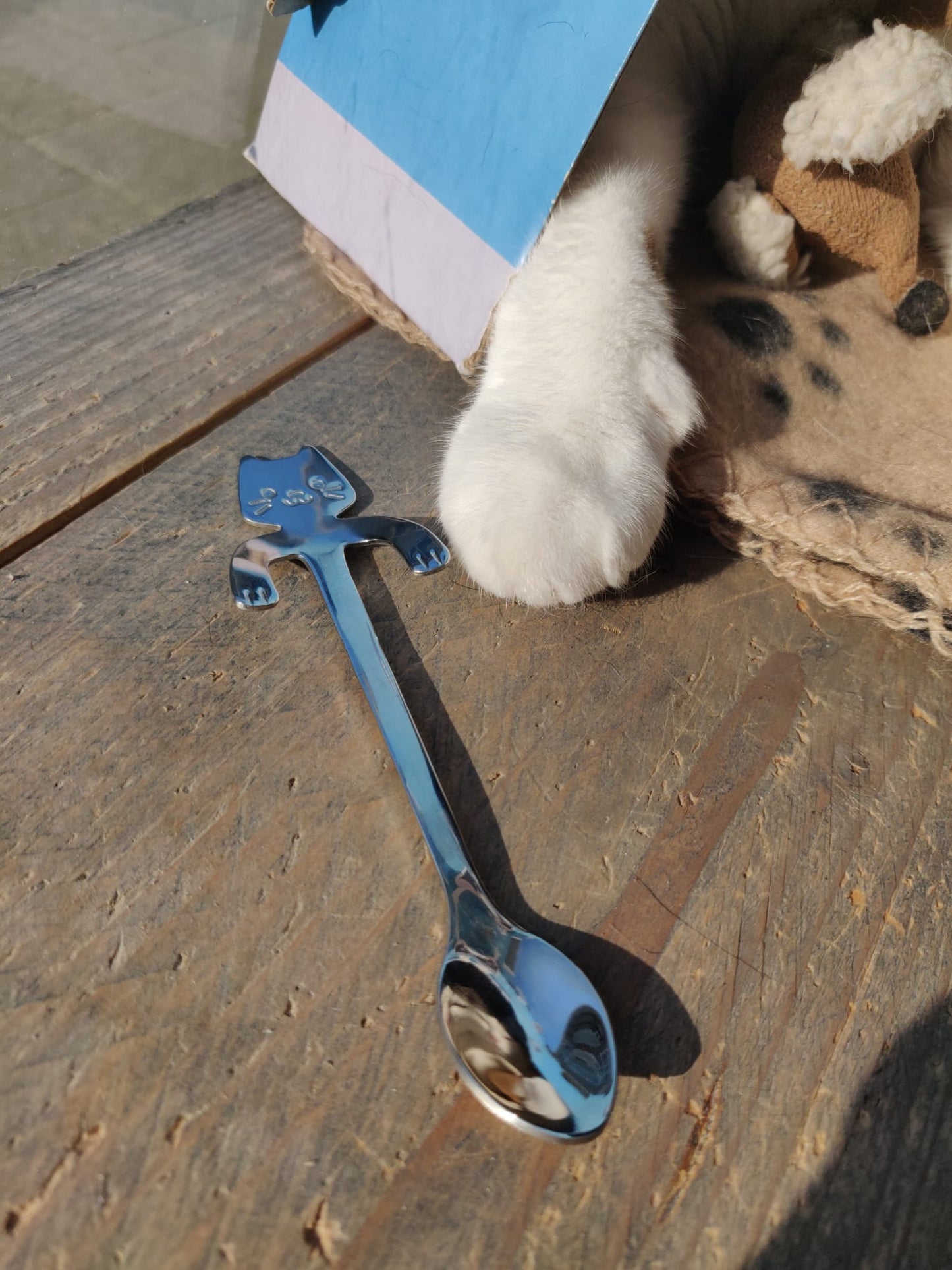 Kattenlepeltje