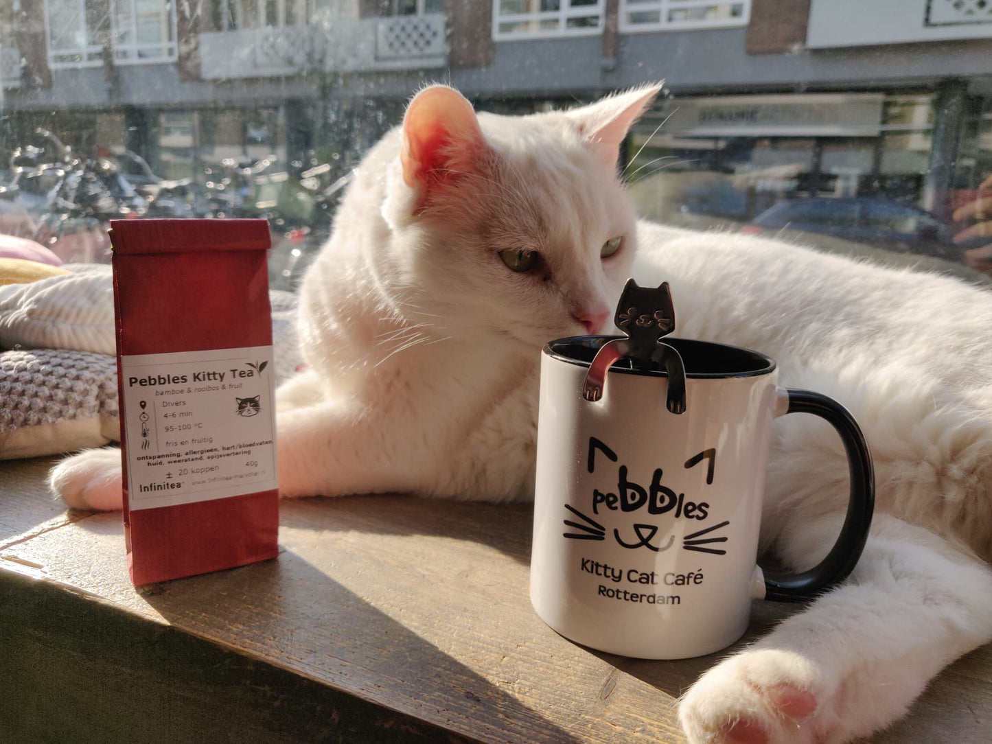 Pebbles Kitty Cat Café cadeau set