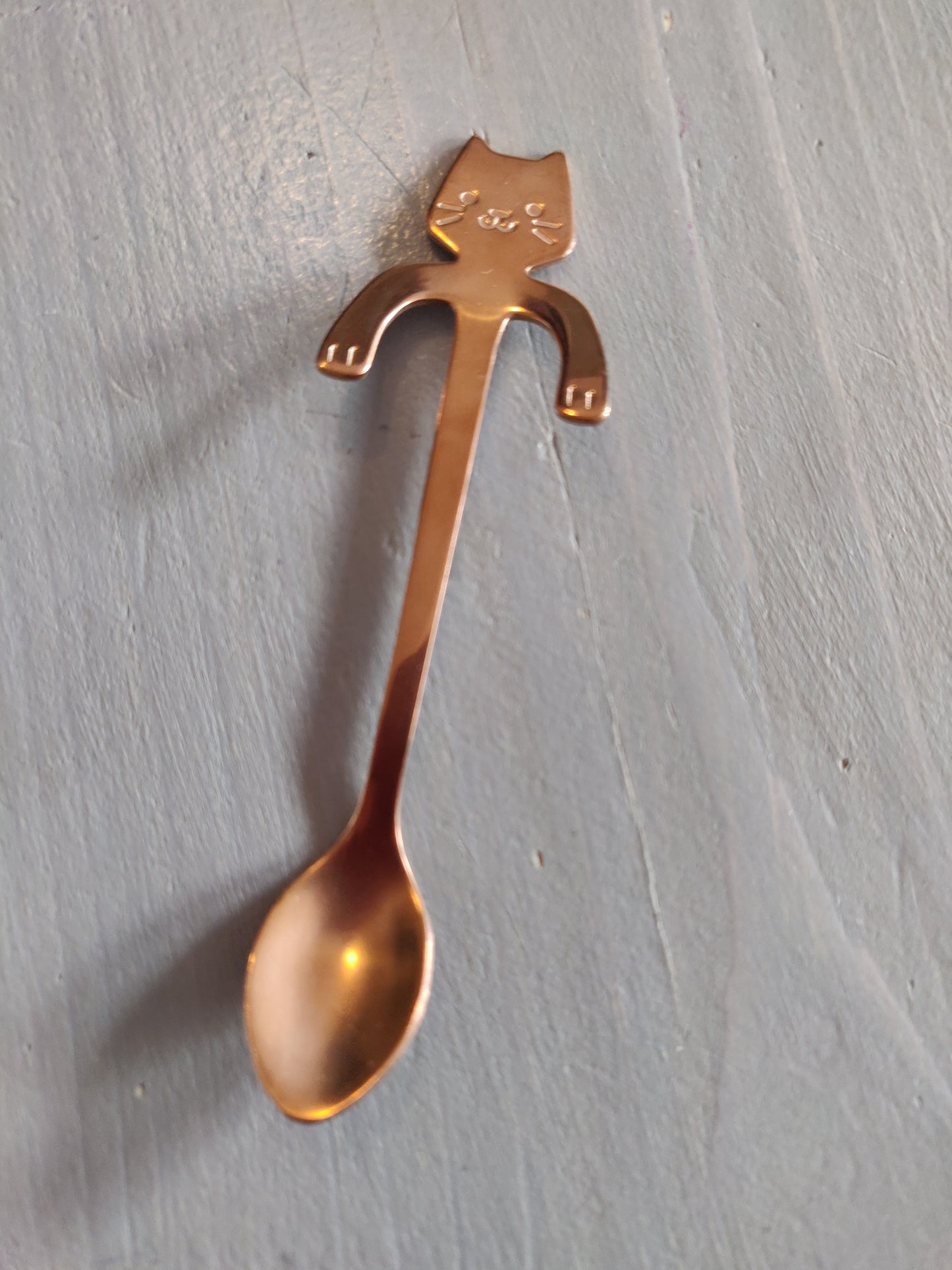 Kattenlepeltje