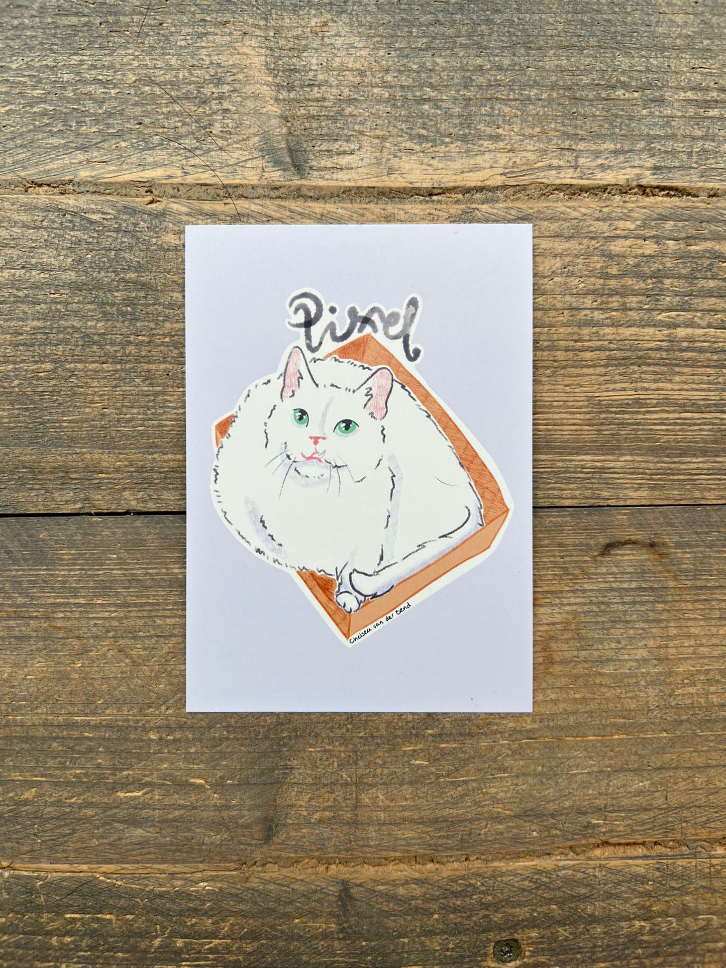 Kitty Card
