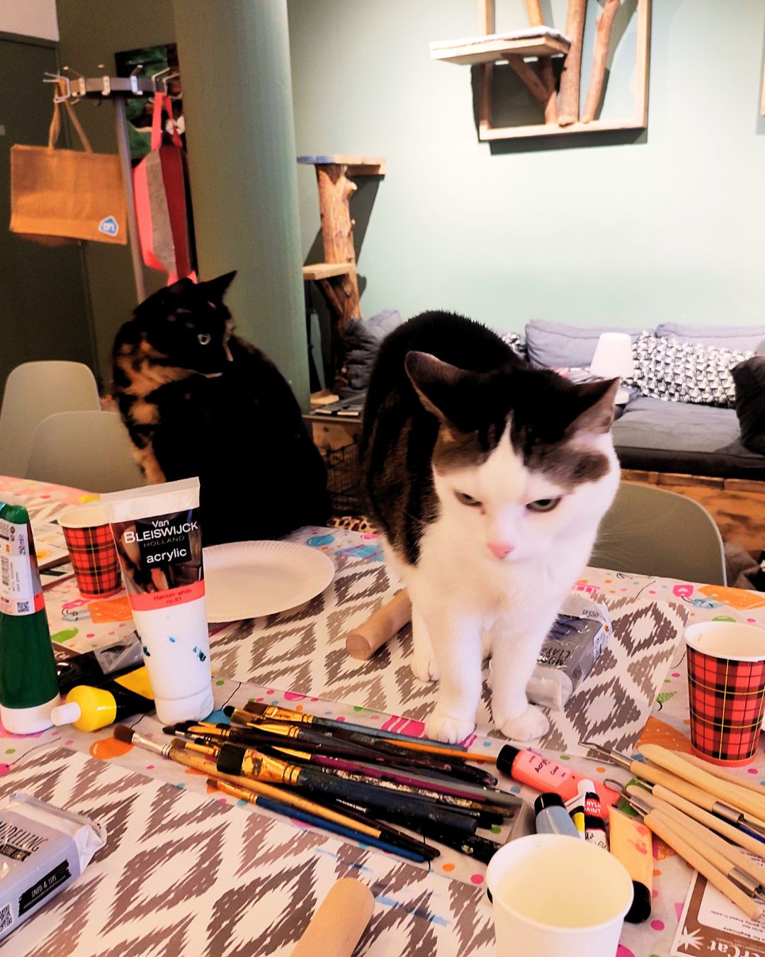 CATS & CLAY - 23 January - 19:00-21:00