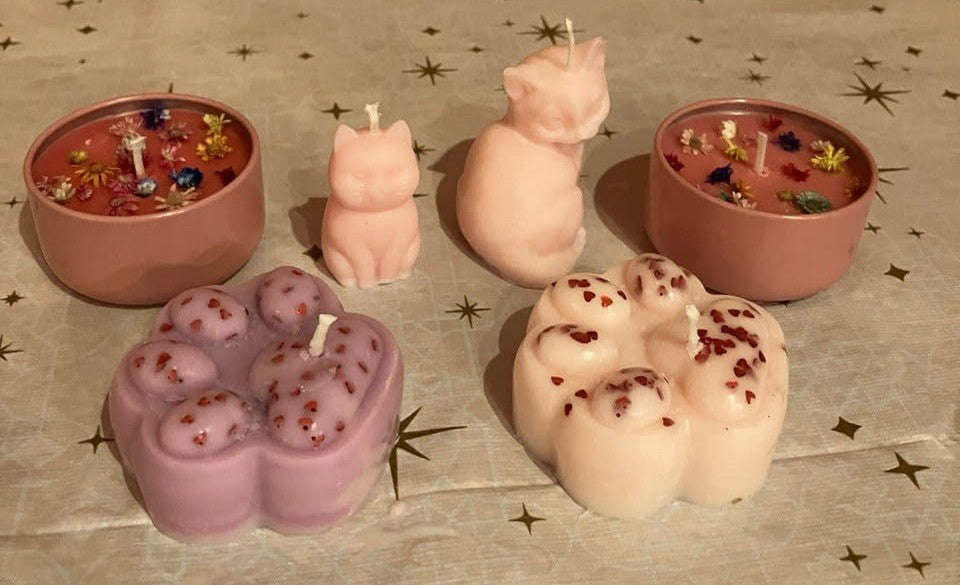 CATS & CANDLES: Workshop Kaarsen Maken - 4 augustus 2026