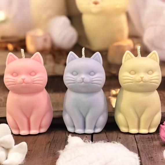 CATS & CANDLES: Workshop Kaarsen Maken - 4 augustus 2026