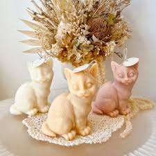 CATS & CANDLES: Workshop Kaarsen Maken - 4 augustus 2026