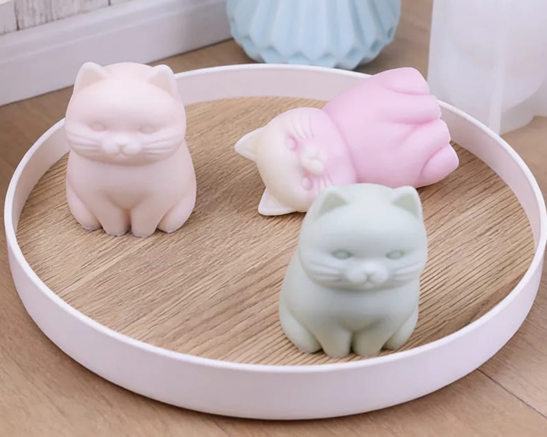 CATS & SOAPS: Workshop Zeep Maken 25 september 18:30-20:30
