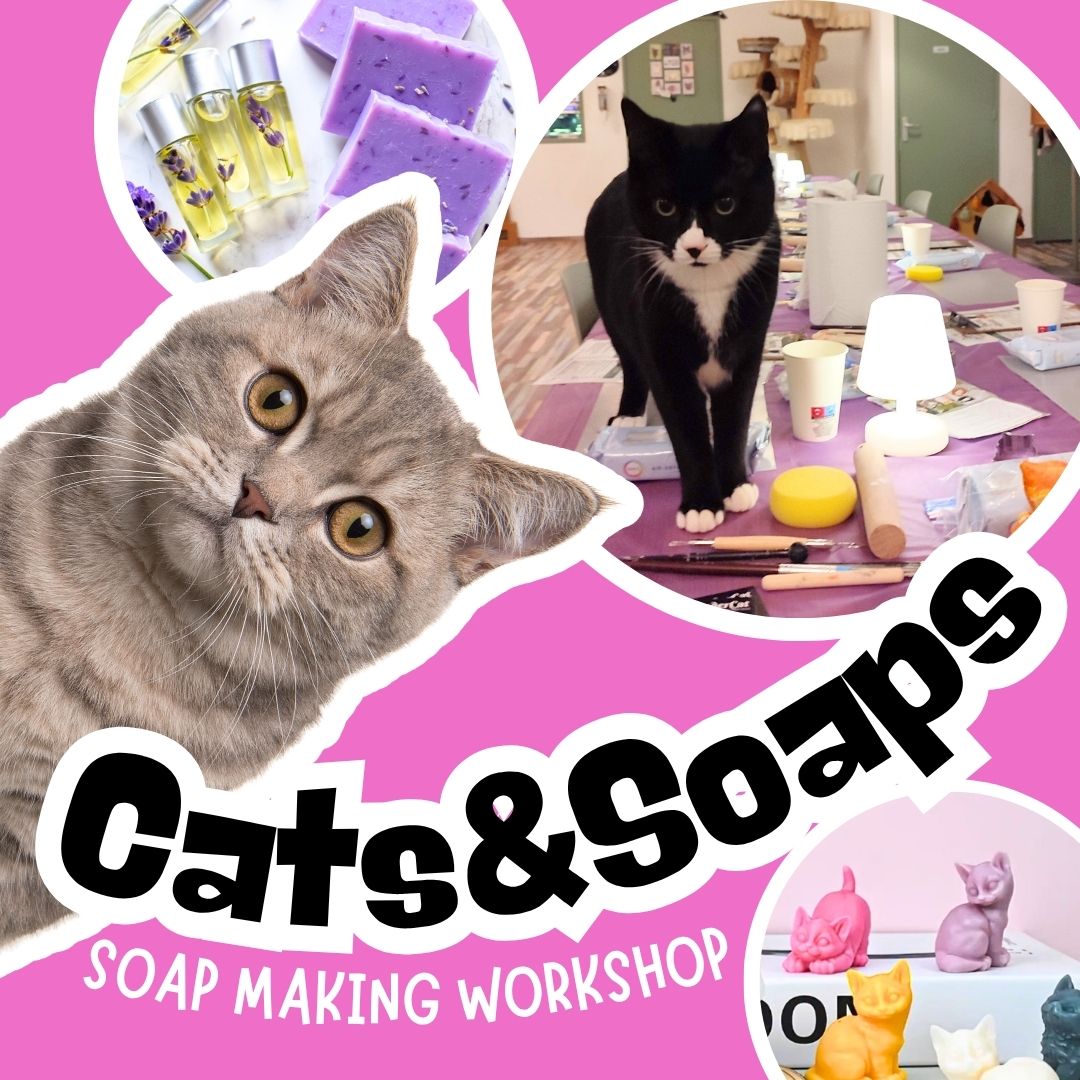 CATS & SOAPS: Workshop Zeep Maken 25 september 18:30-20:30
