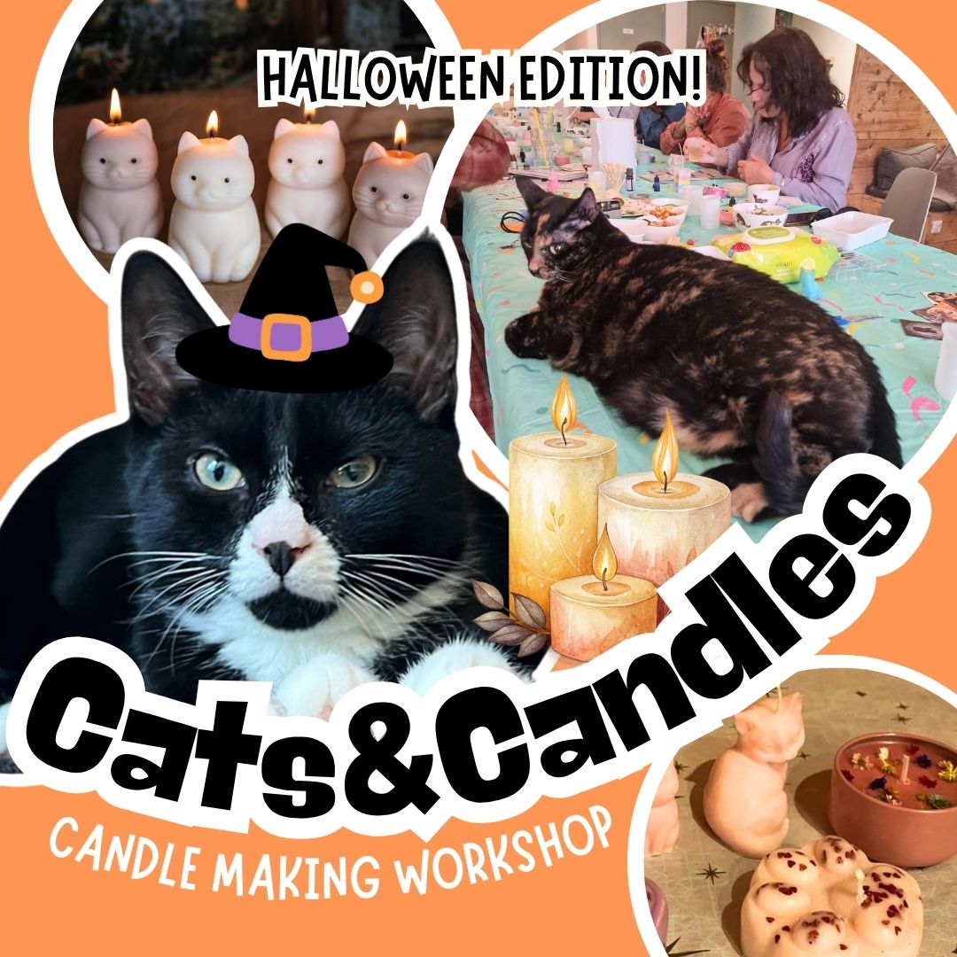 CATS & CANDLES: Halloween Candle Making Workshop 🐱🎃🕯️