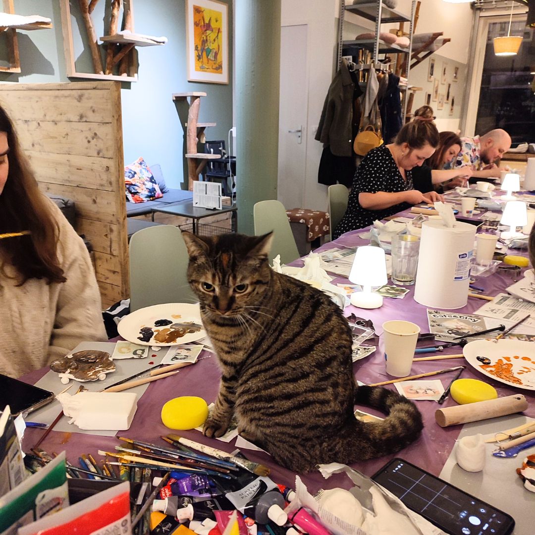 CATS & CANDLES: Halloween Candle Making Workshop 🐱🎃🕯️