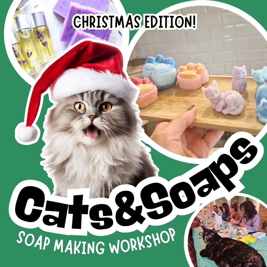 🎄 CATS & SOAPS: Christmas Soap-Making Workshop with Cats 🐱✨