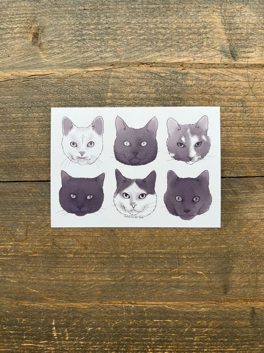 Kitty Card