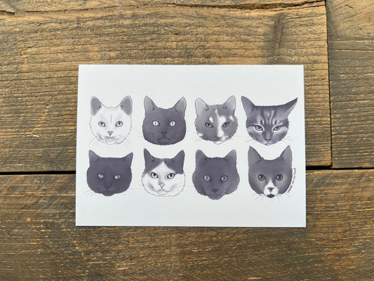 Kitty Card