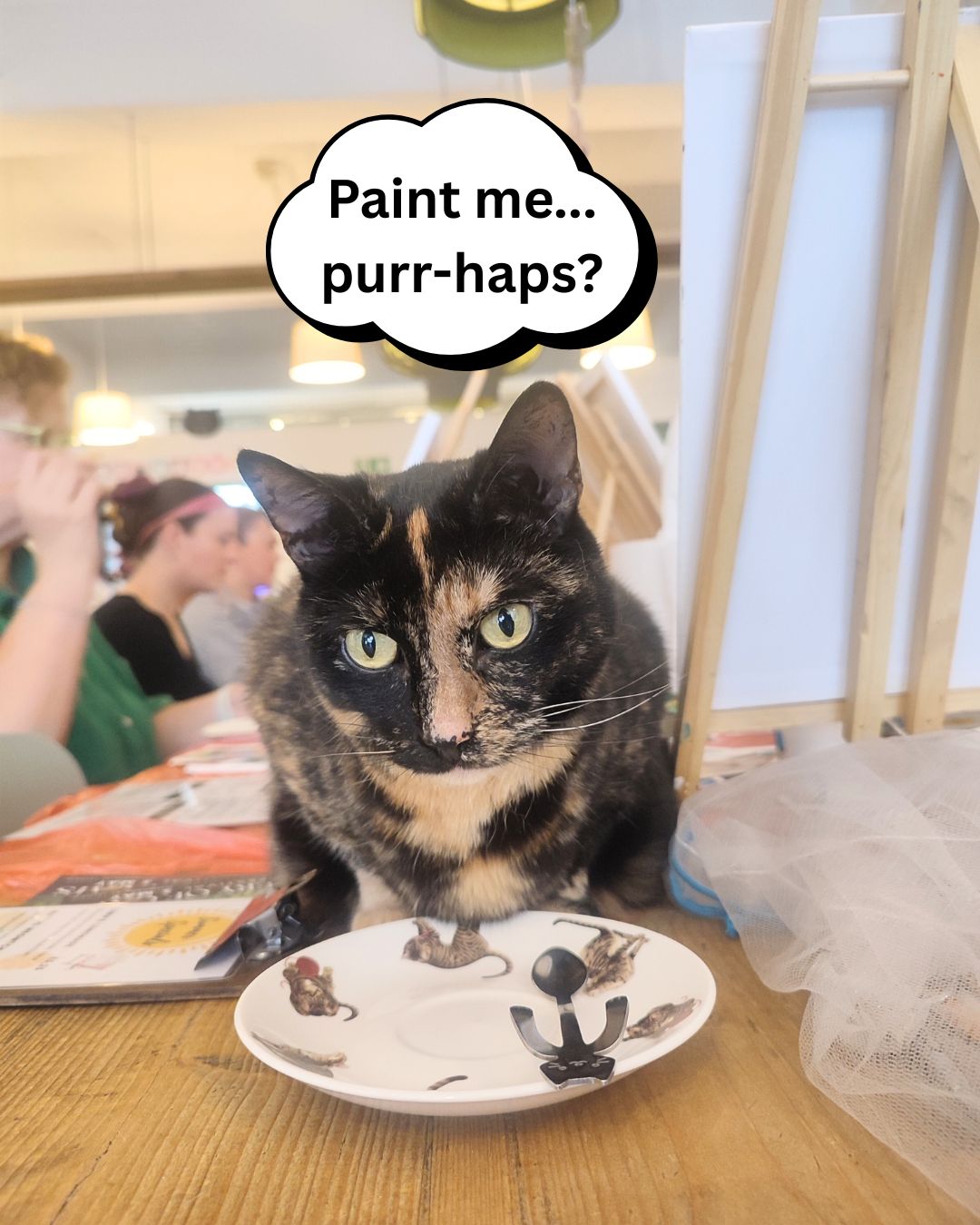 Paint&Purrr: 1st Anniversary Party! - 20 December - 19:00-21:00